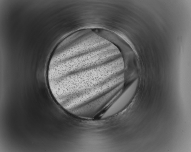 X0000088921197200707061358