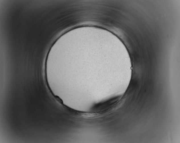 X0000088921199200707061358