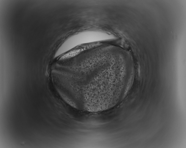 X0000088921206200707061357