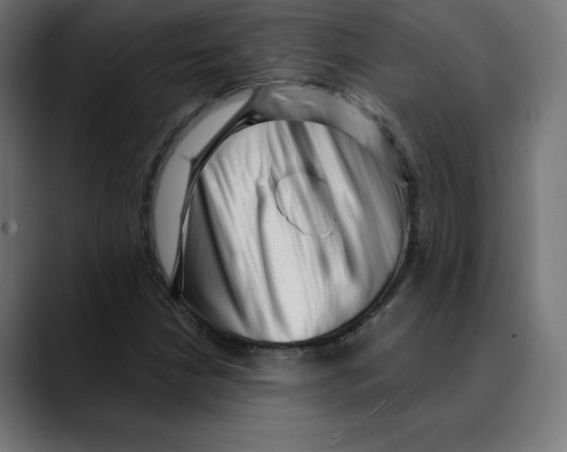 X0000088921210200707061357