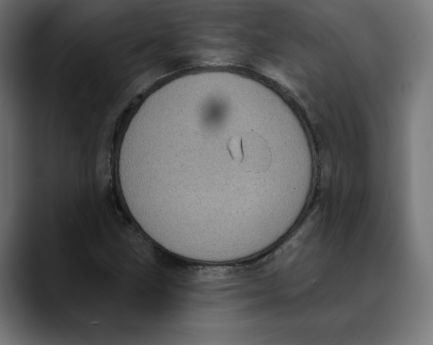 X0000088921211200707061357
