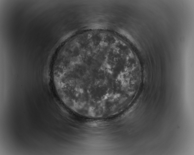 X0000088921213200707061357