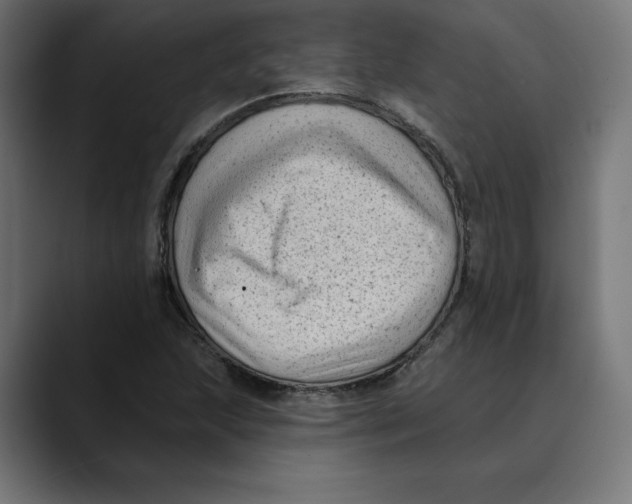 X0000088921215200707061357