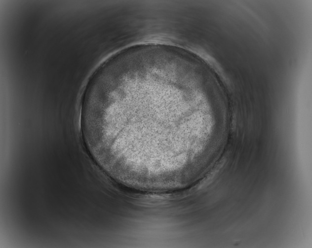 X0000088921224200707061357