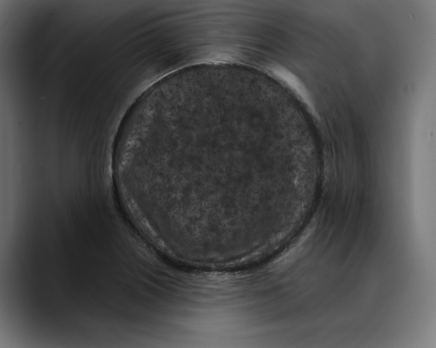 X0000088921226200707061357