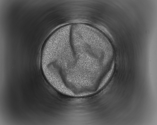 X0000088921228200707061357