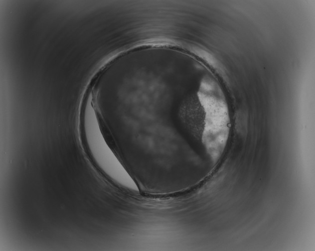 X0000088921229200707061357
