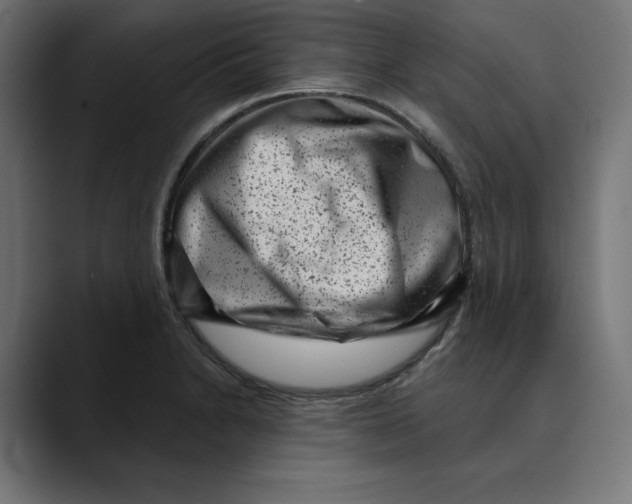X0000088921230200707061357