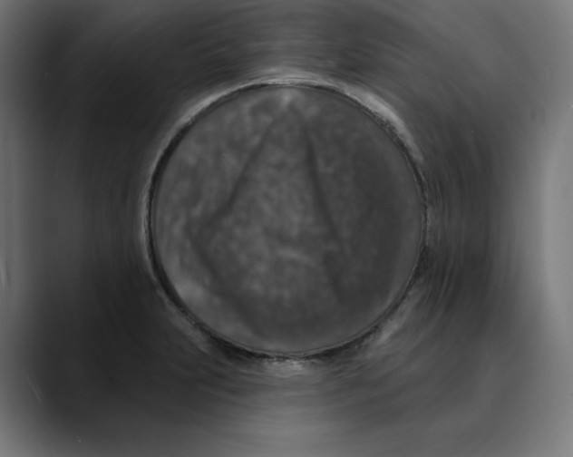 X0000088921231200707061357