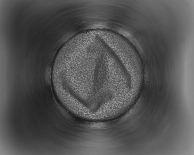 X0000088921233200707061357
