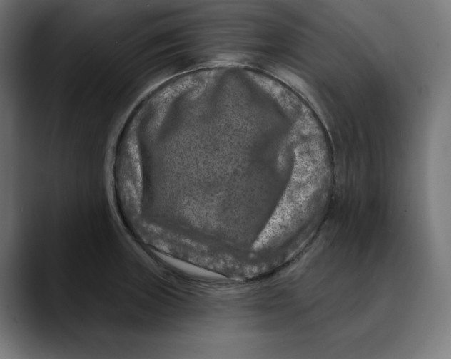 X0000088921235200707061357