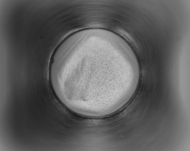 X0000088921236200707061357