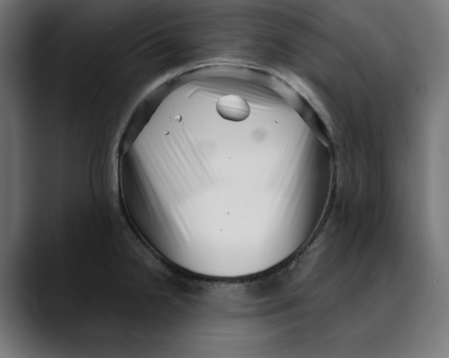 X0000088921238200707061357