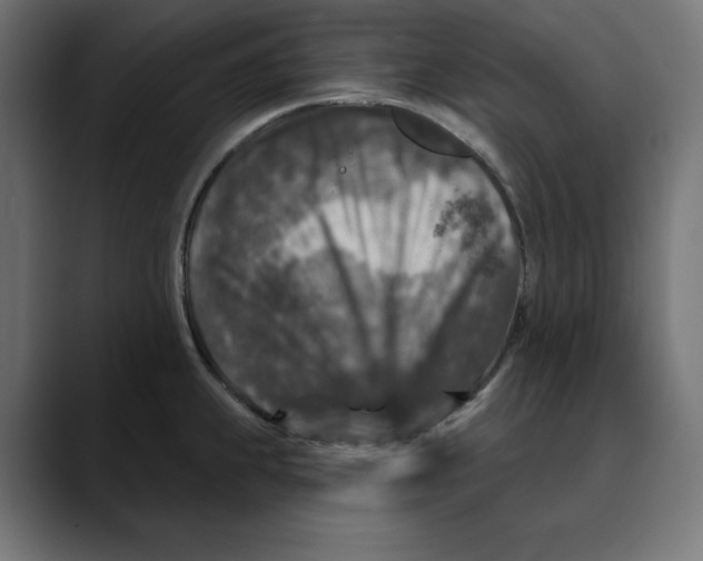X0000088921239200707061357