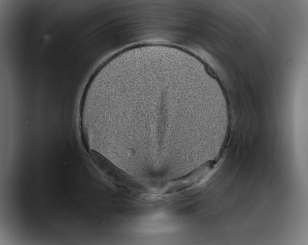 X0000088921240200707061357