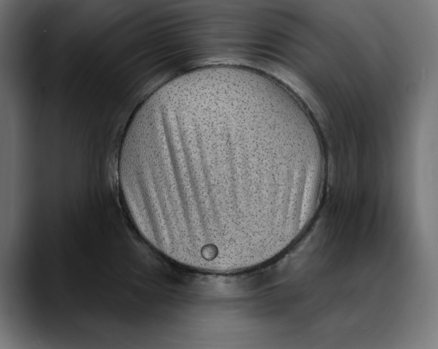 X0000088921241200707061357