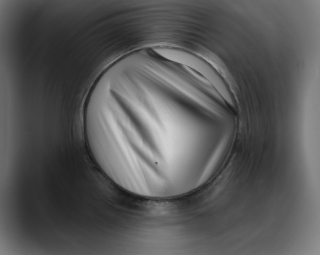 X0000088921242200707061357