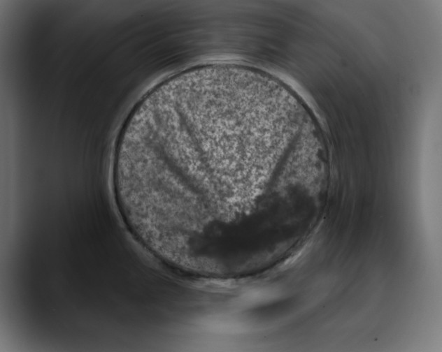 X0000088921245200707061357