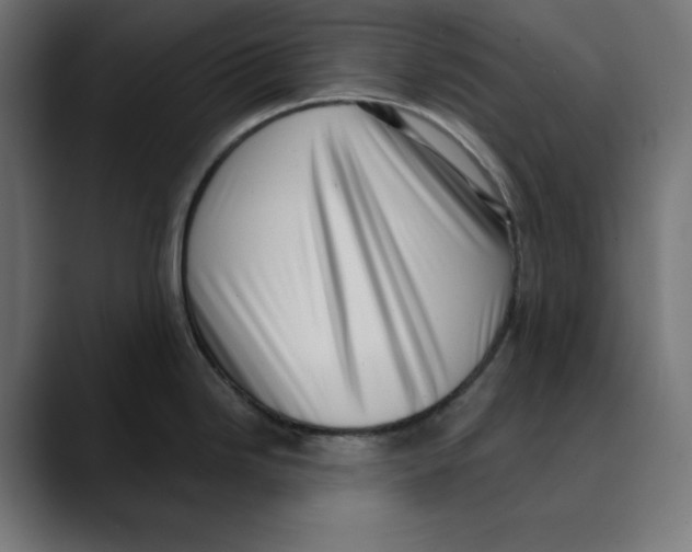 X0000088921246200707061357