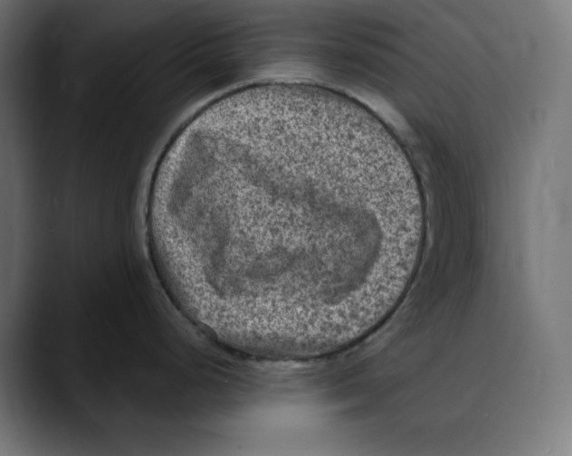 X0000088921248200707061357