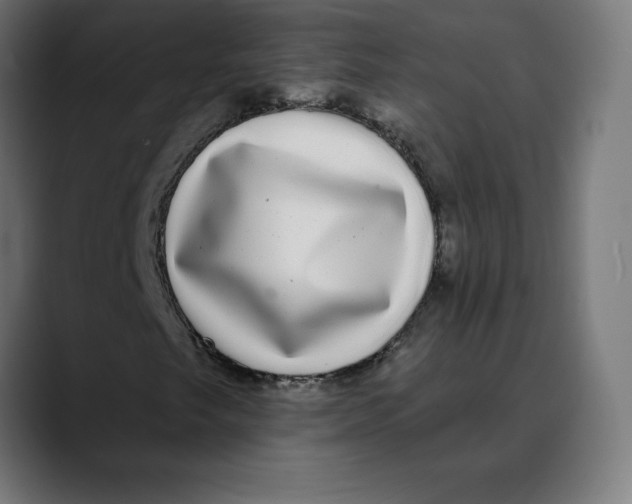 X0000088921249200707061357