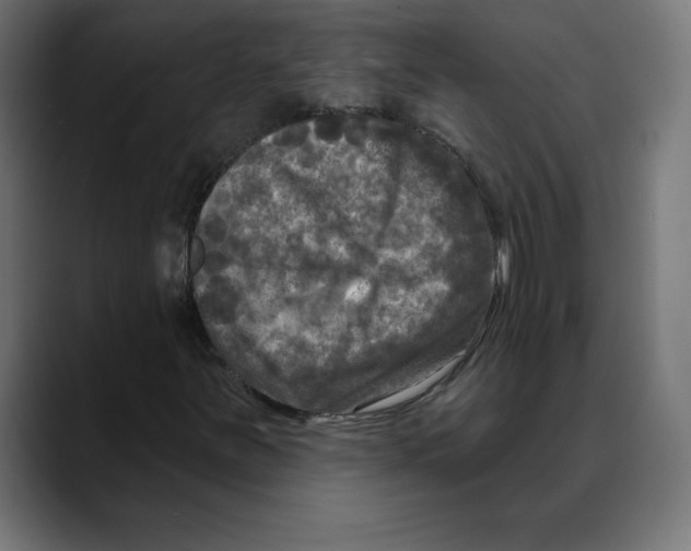 X0000088921251200707061357