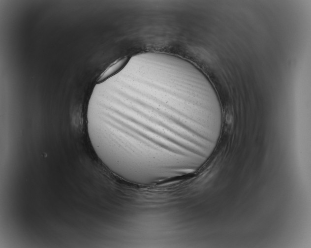 X0000088921252200707061357