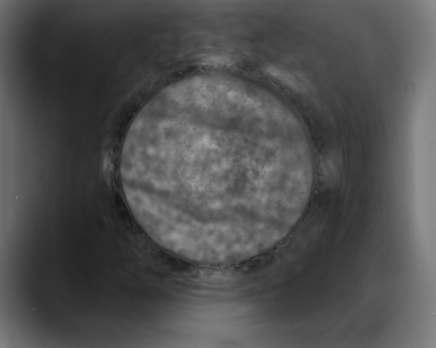 X0000088921254200707061357