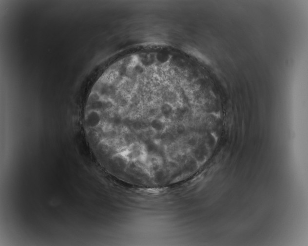 X0000088921255200707061357