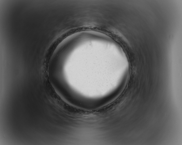 X0000088921256200707061357