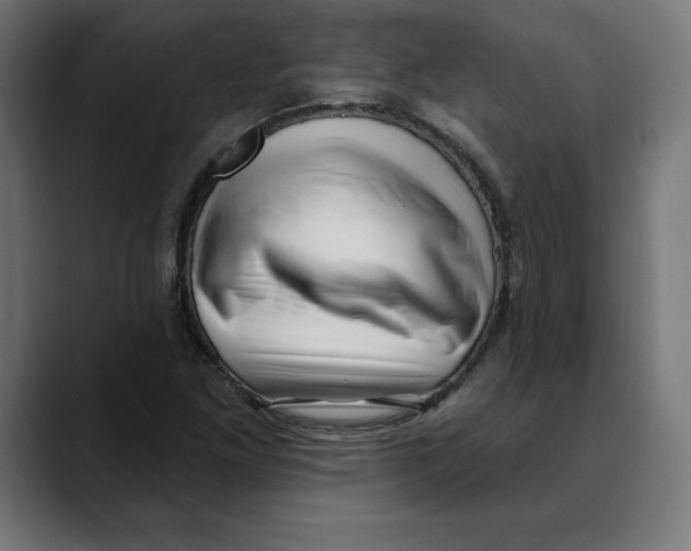 X0000088921261200707061357