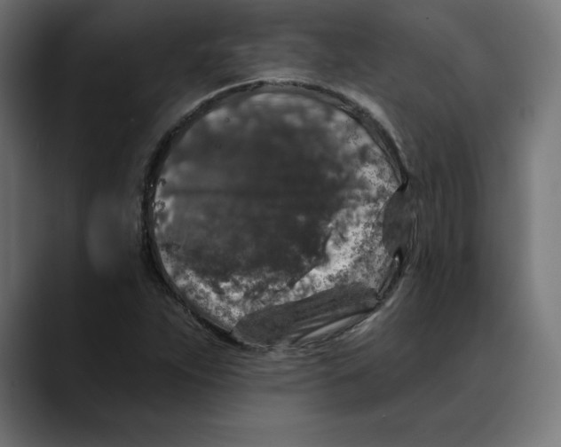 X0000088921263200707061357