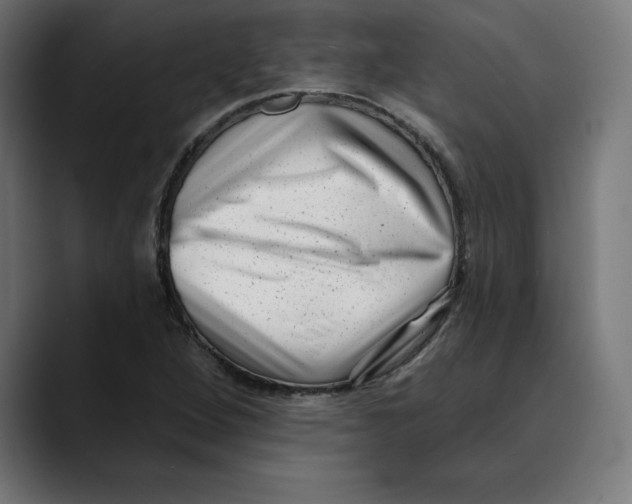 X0000088921264200707061357