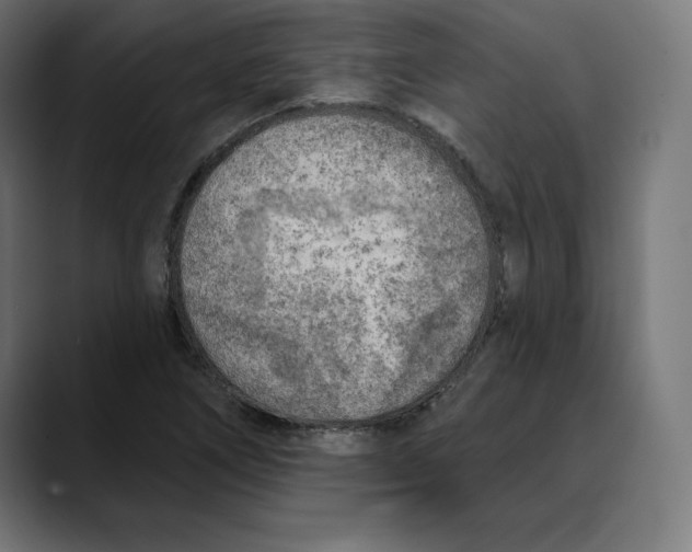 X0000088921266200707061357
