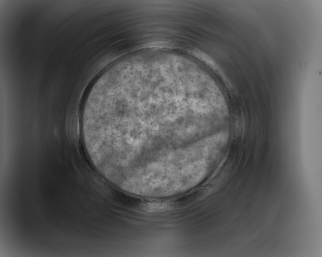 X0000088921274200707061357