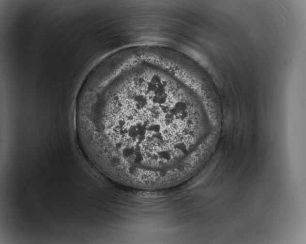 X0000088921275200707061357