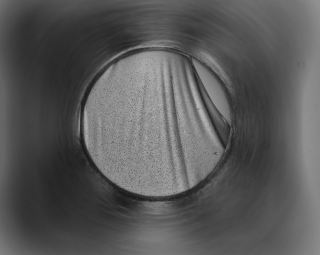 X0000088921276200707061357