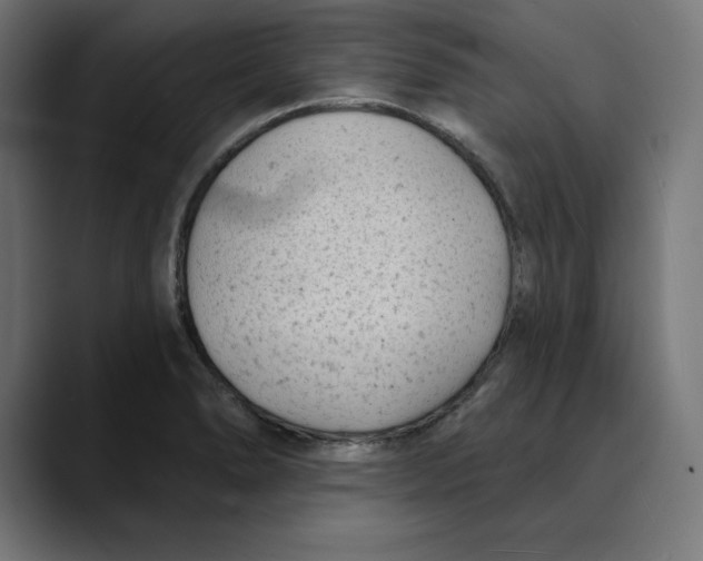 X0000088921278200707061357
