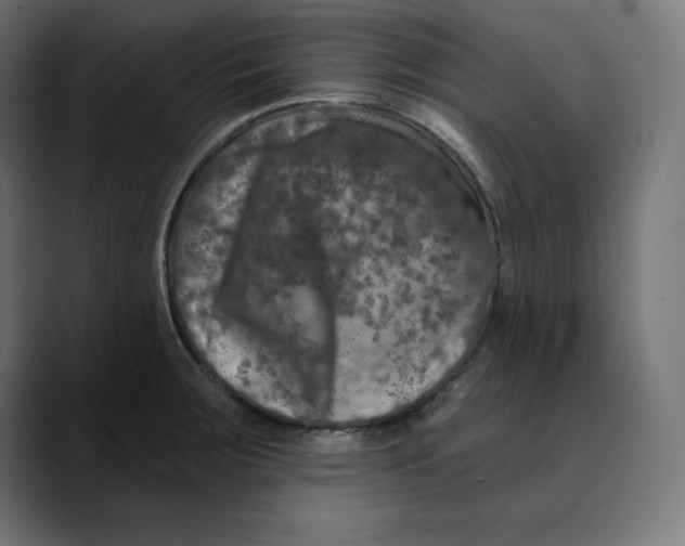 X0000088921283200707061357