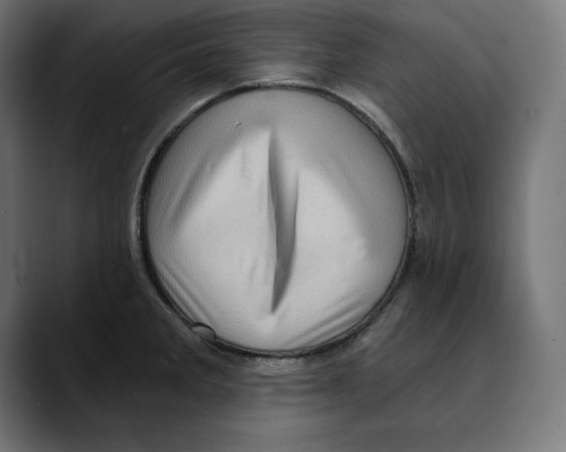 X0000088921285200707061357