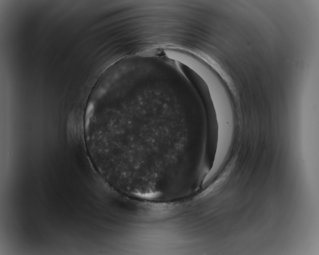 X0000088921289200707061356