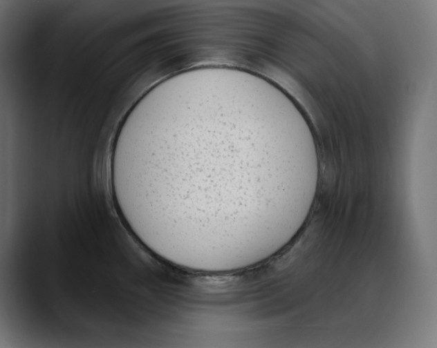 X0000088921290200707061356