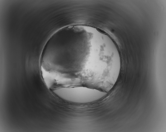X0000088921291200707061356