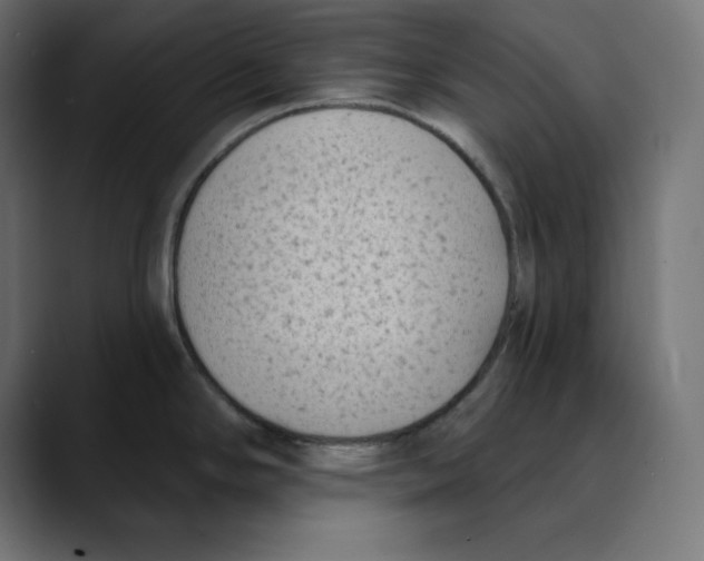 X0000088921294200707061356