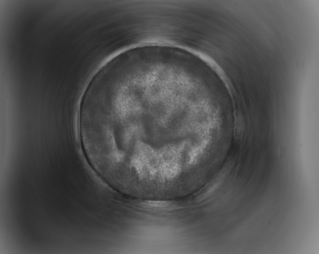 X0000088921295200707061356