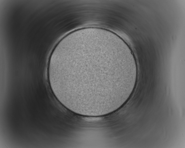 X0000088921296200707061356