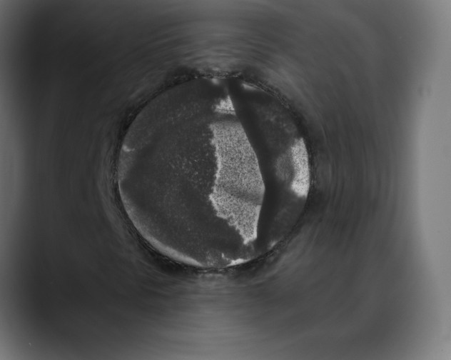 X0000088921297200707061356