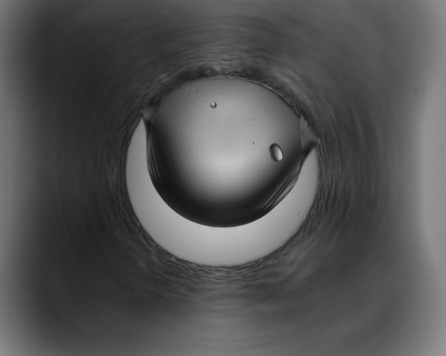 X0000088921298200707061356