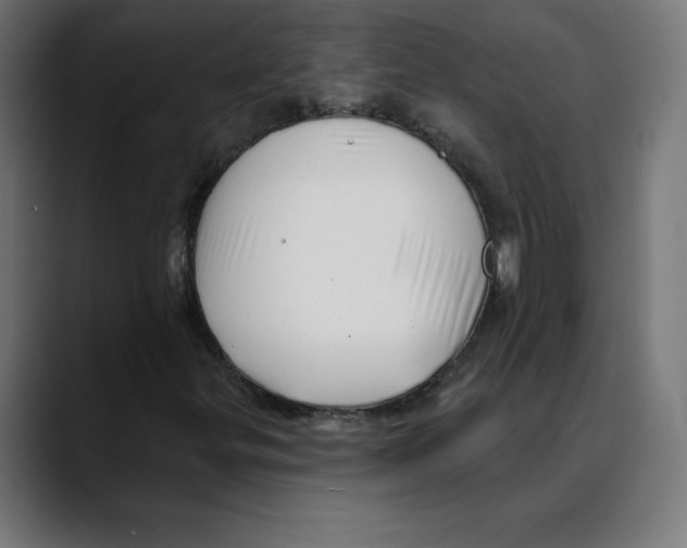 X0000088921299200707061356