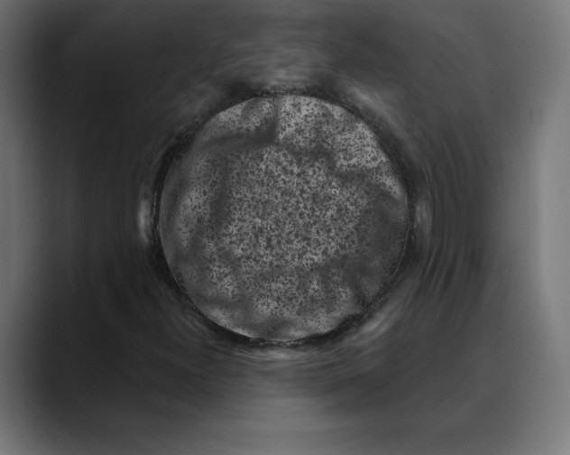 X0000088921300200707061356